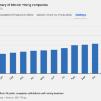 Bitcoin holdings